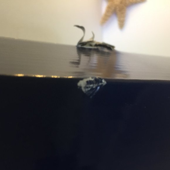 MIKASA Ambrose Bowl 12.75" NIB Leaf Design Party - Picture 11 of 13